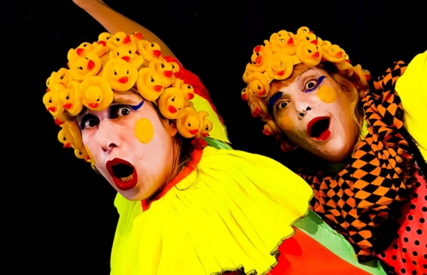 צילום - בועז ניר שלום