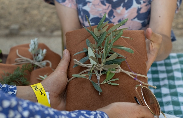 צילום - שירה אבולעפיה