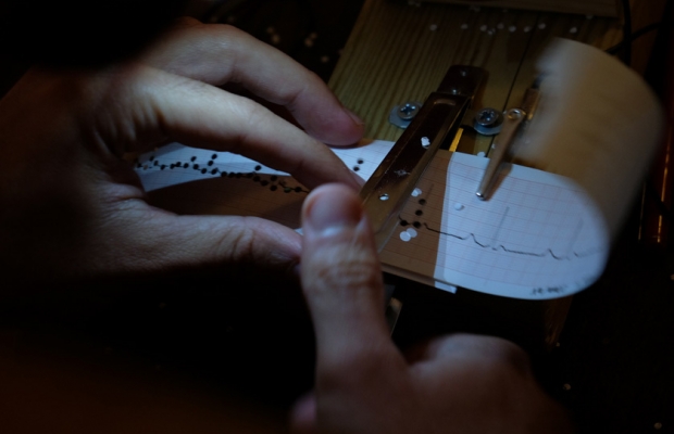 צילום שירה אבולעפיה