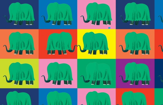 איור - שחף מנאפוב