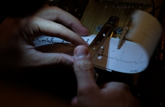 צילום שירה אבולעפיה